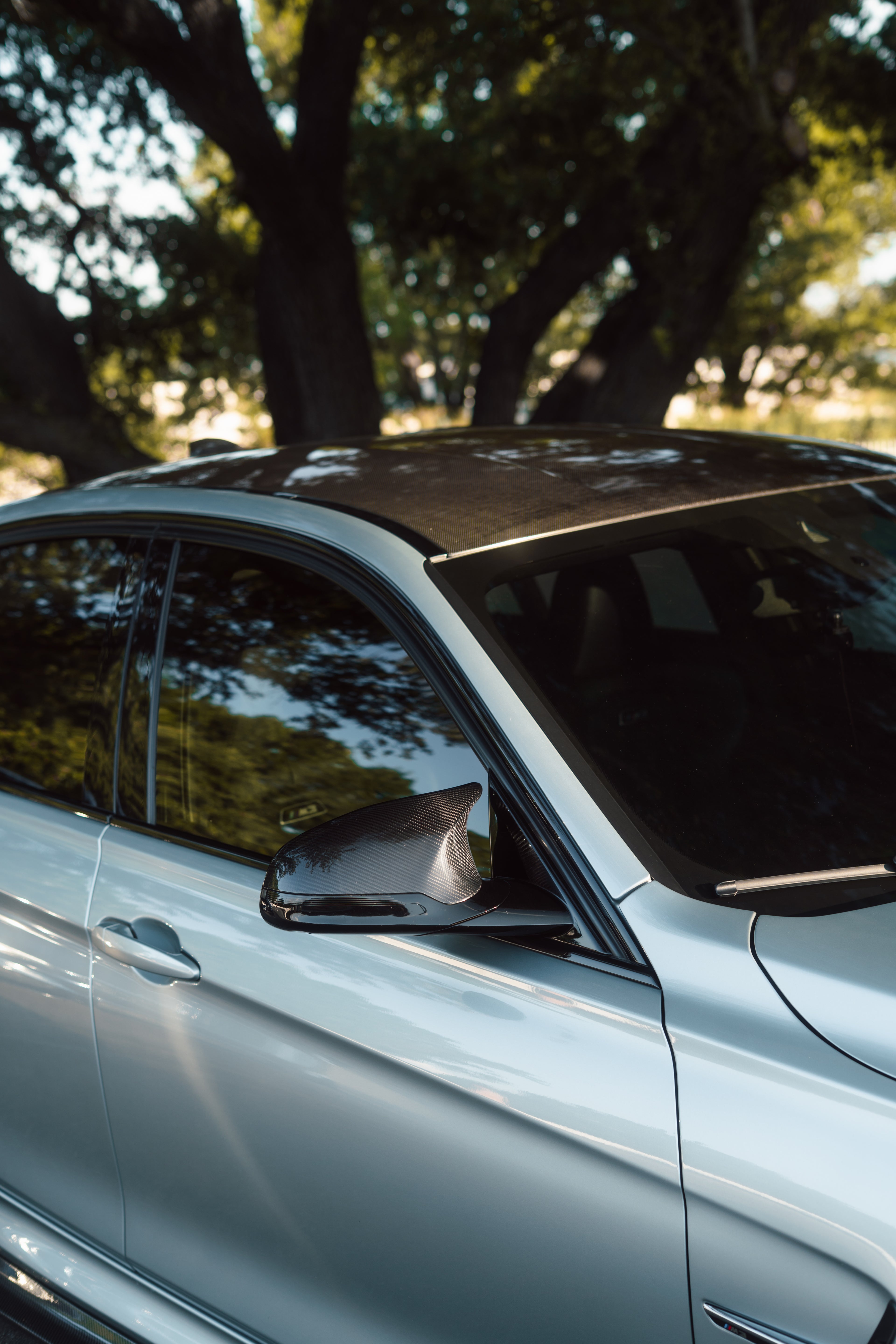 BMW F8X M3 M4 Carbon Fiber Mirror Caps