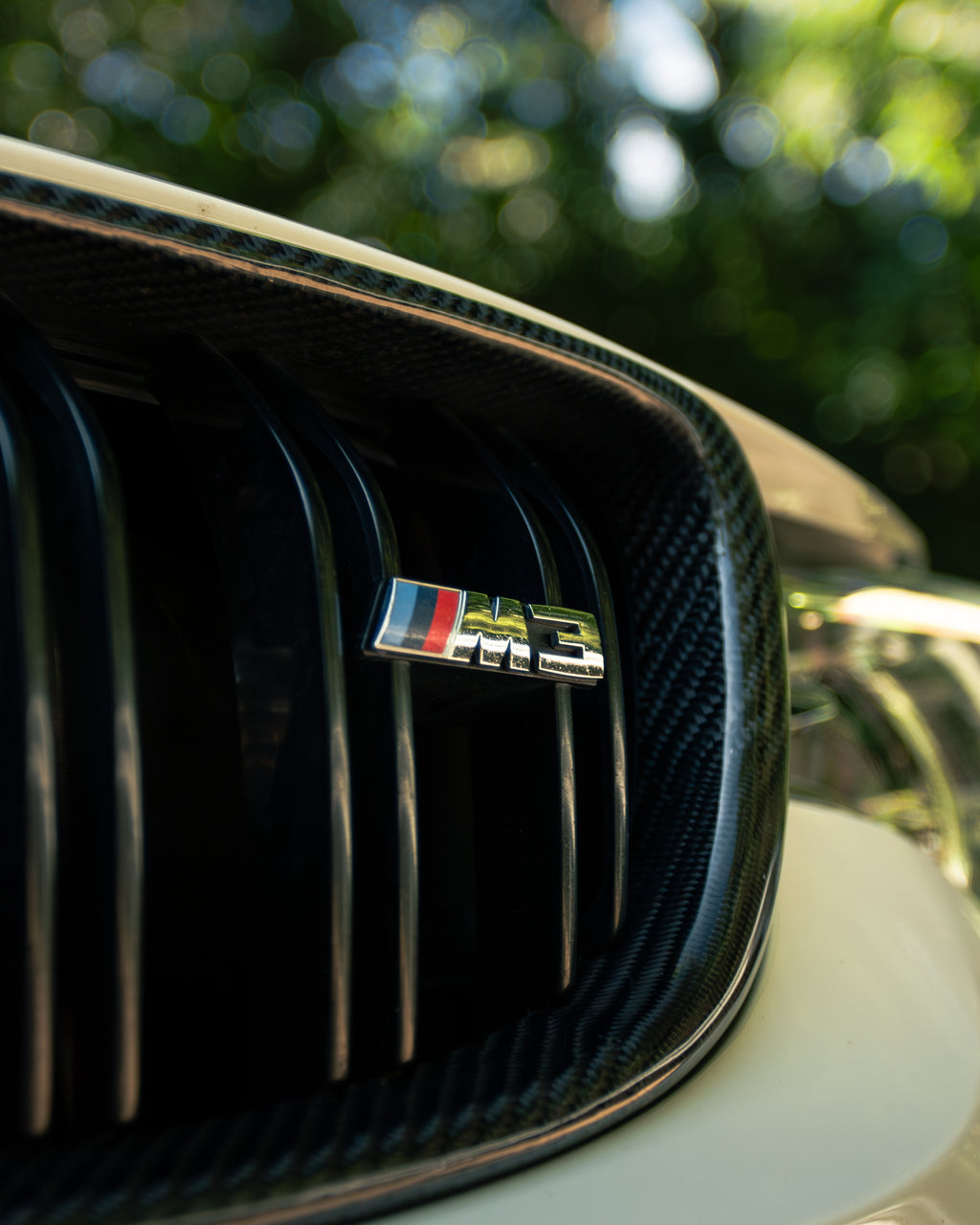BMW F80/F82/F83 M3 & M4 Carbon Fiber Replacement Grilles