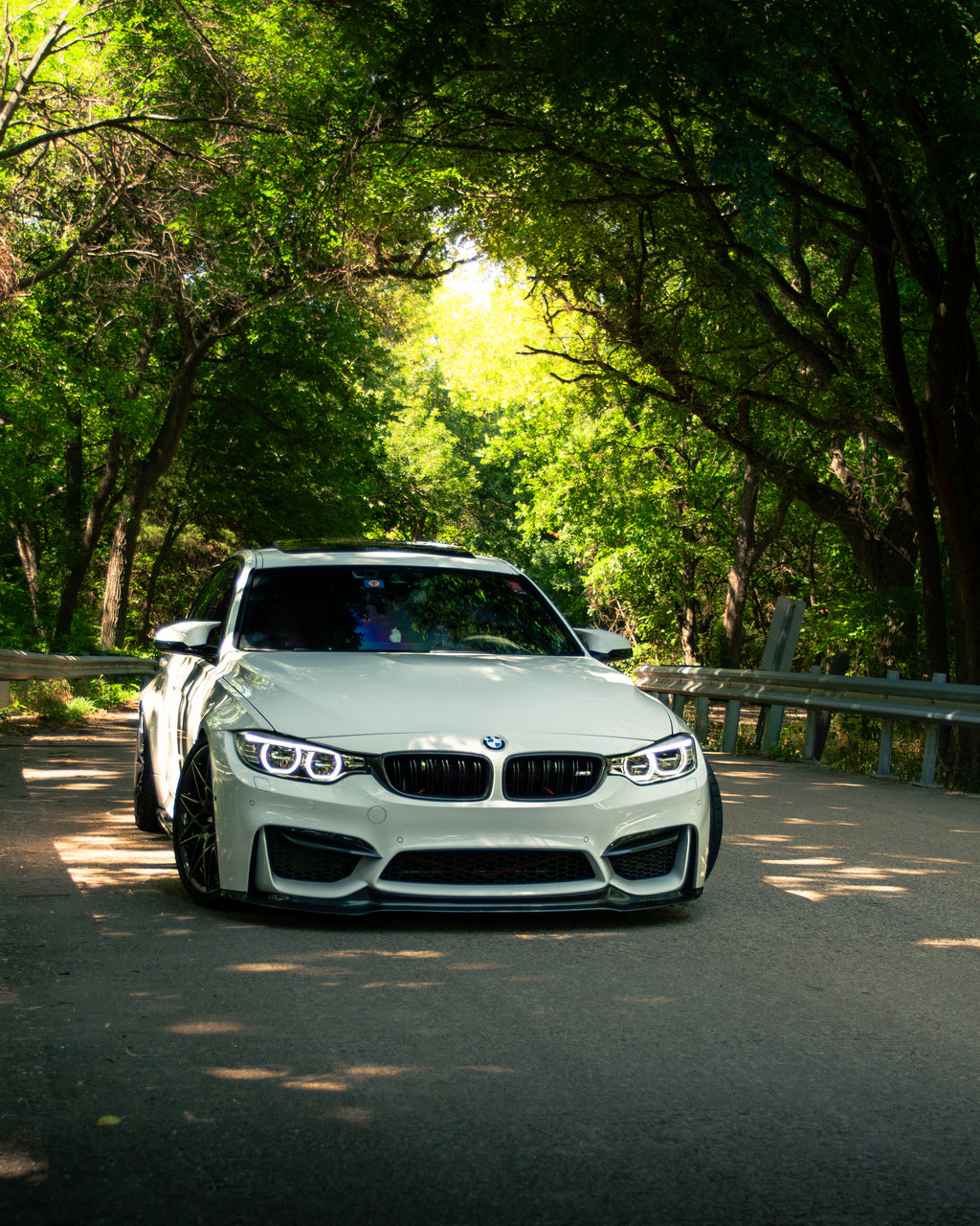 BMW F80/F82/F83 M3 & M4 Carbon Fiber Replacement Grilles