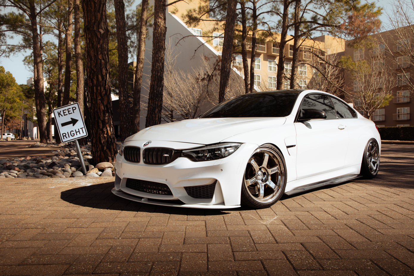 BMW F82/F83 M4 Carbon Fiber PSM Style Side Skirts