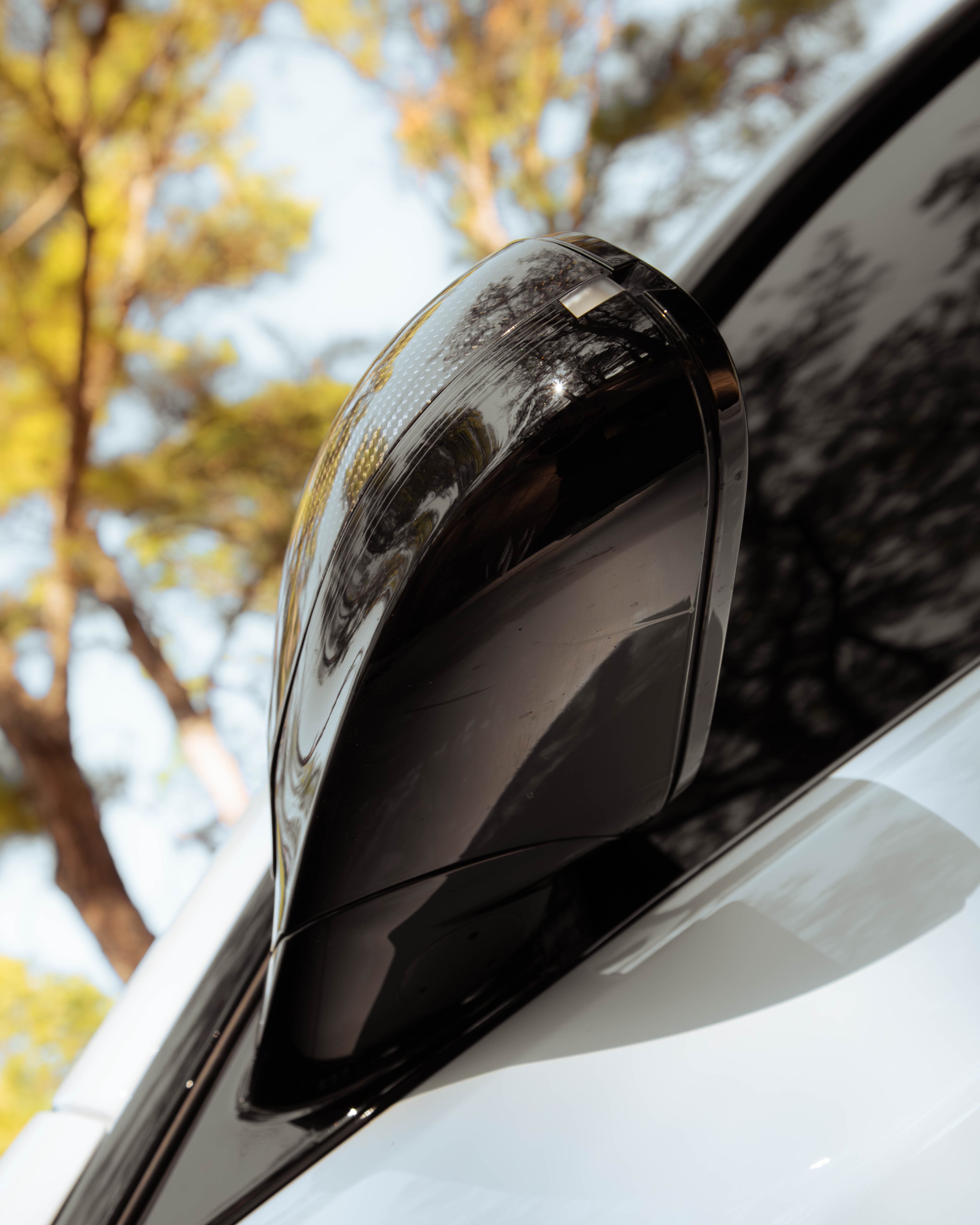 BMW F8X M3 M4 Carbon Fiber Mirror Caps